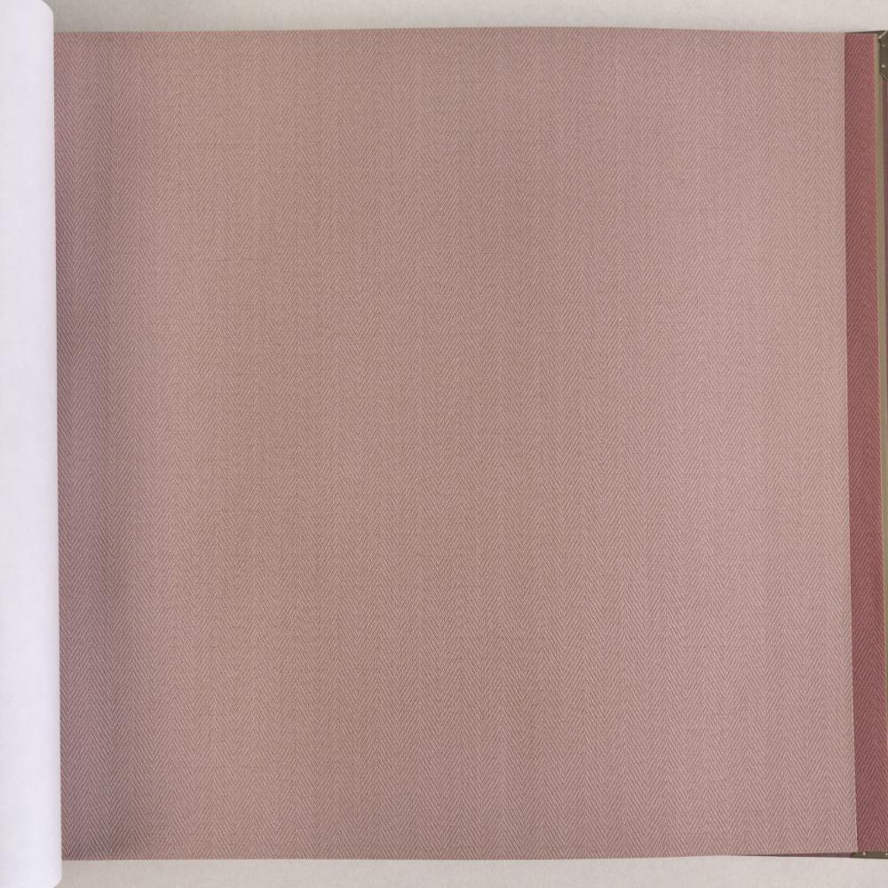 Alessandro Allori Bruni RBN 1002-20