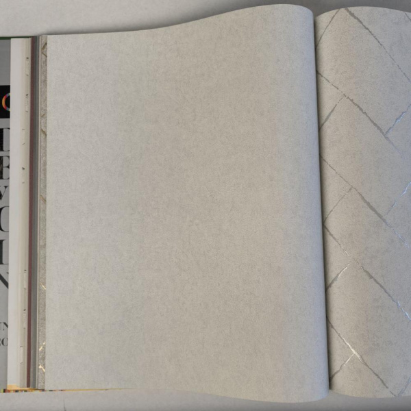 Andrea Rossi Cavolli 54422-1 Andrea Rossi Cavolli 54422-1