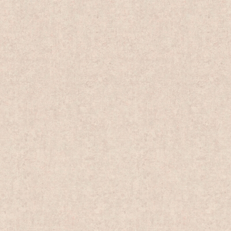 Rasch Kerala 551754