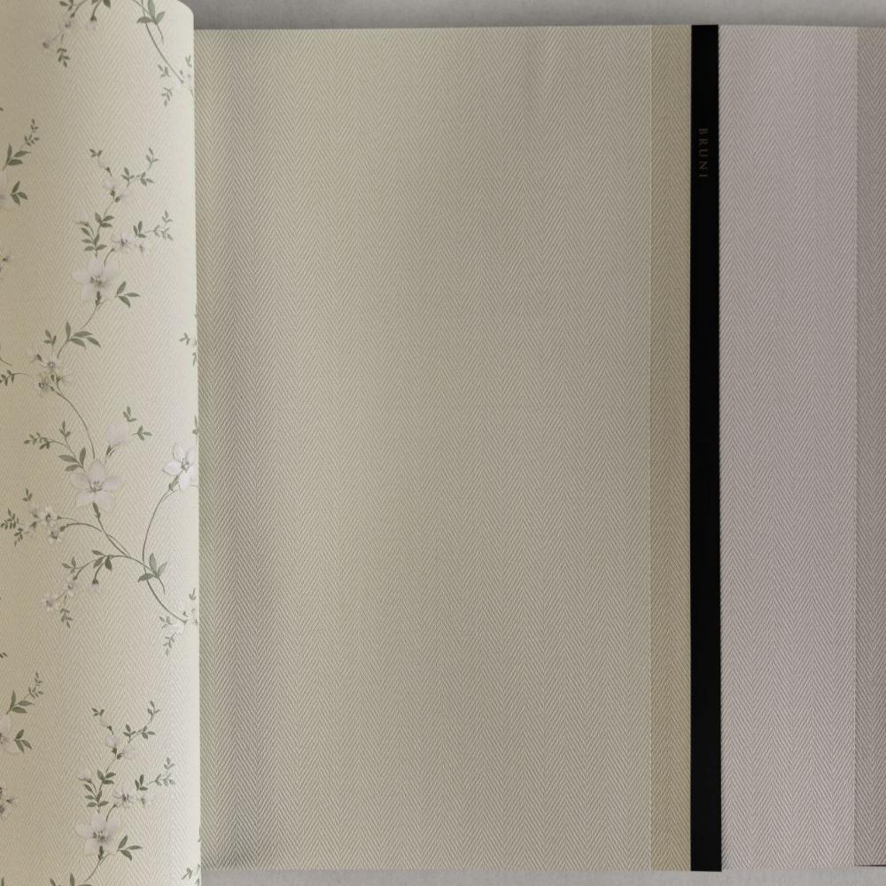 Alessandro Allori Bruni RBN 1002-45