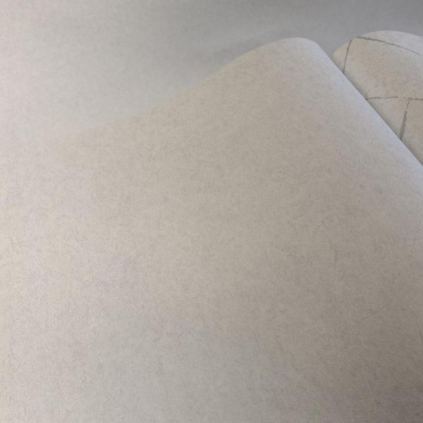 Andrea Rossi Cavolli 54422-1 Andrea Rossi Cavolli 54422-1