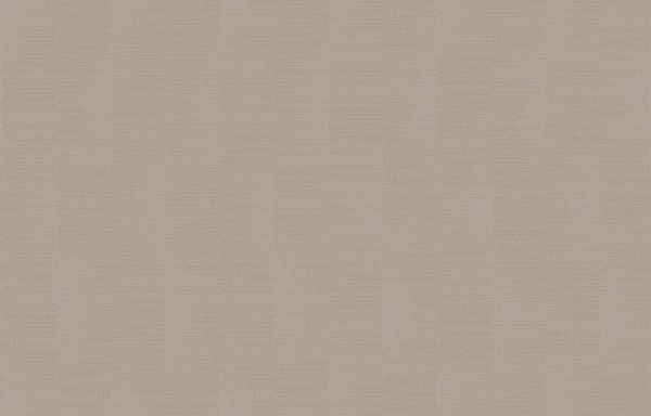 Loymina Shade SDR2 002