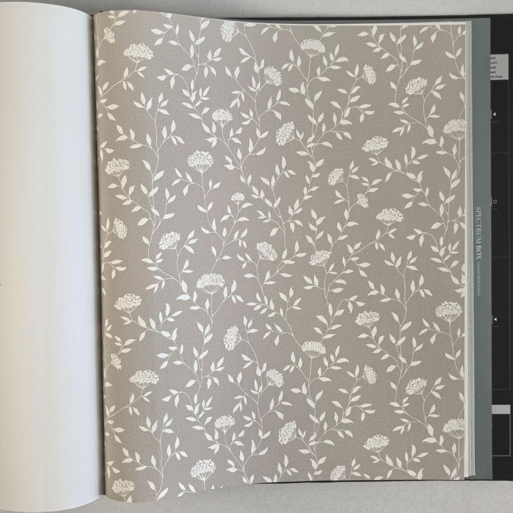 Andrea Rossi Spectrum Box 54456-3 Andrea Rossi Spectrum Box 54456-3