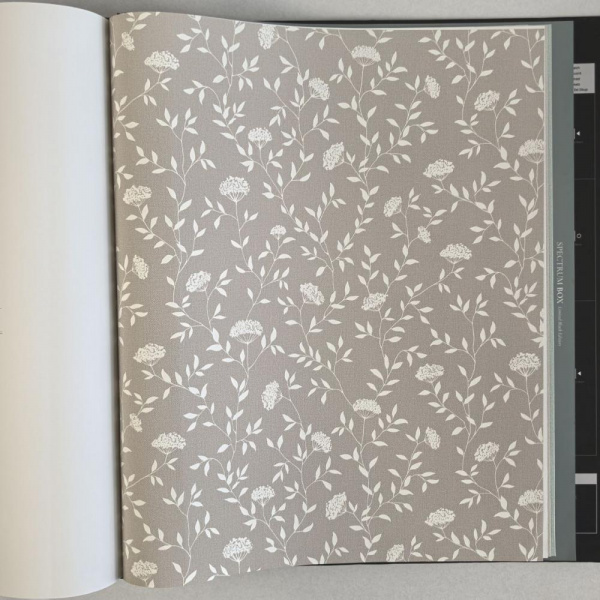 Andrea Rossi Spectrum Box 54456-3 Andrea Rossi Spectrum Box 54456-3